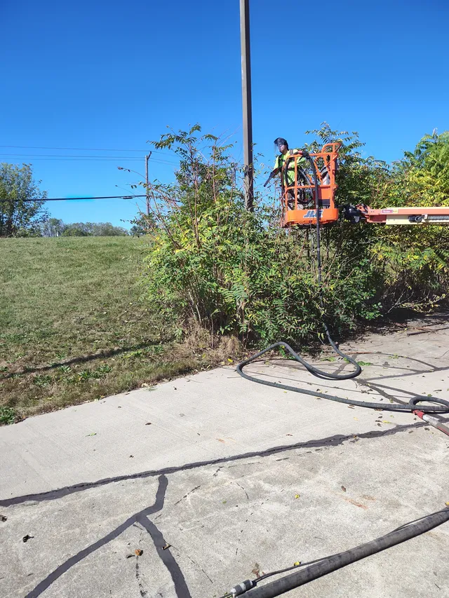 Blasting Light Poles